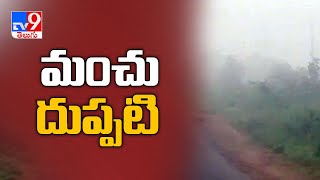 Nirmal జిల్లాలో దట్టంగా అలుముకున్న పొగమంచు - TV9