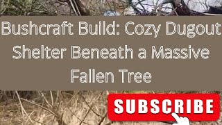 Bushcraft Build: Cozy Dugout Shelter Beneath a Massive Fallen Tree