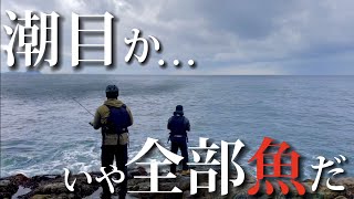 【ロックショア】青物を狙っていると沖から迫る黒い影！？正体は大量の〇〇！！【ブリ・ヒラマサ・ヒラスズキ】