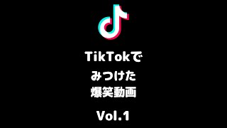 TikTokで見つけたおもしろ動画Vol.1 #Shorts