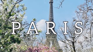 parisvlogパリエッフェル塔と桜、マレ地区お散歩、秘密にしたいかわいいカフェを紹介、パリ観光情報パリ旅行情報パリ観光ガイド