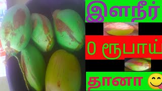 இளநீர் ஒரு ரூபாய் செலவில்லாமல் கிடைக்கும் || இளநீர் குடிப்பதால் கிடைக்கும் நன்மைகள் பயன்கள் #viral