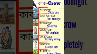 কাক-Crow তাহলে 'কাকতাড়ুয়া' বা 'কাকভেজা'র ইংরেজি কী?#english #youtubeshorts 🤓