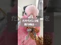 インコを飼う【5つのデメリット】 shorts