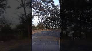 ✨Bedguli Forest KA-10 Nam Chamarajanagar ✨ 🌏🐘......