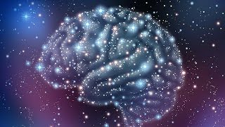 The ALL is MIND; the Universe is Mental