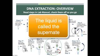 BIO 211 Lab 1 2