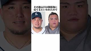 「山川穂高」に関する雑学 #野球 #山川穂高 #野球解説