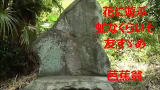 鳥総（とりふさ）神社・・芭蕉句碑があった・・富岡/群馬