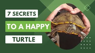 7 Secrets to Keeping Your Turtle Happy and Healthy - A Must-Watch for Turtle Owners!