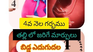 4వ నెల గర్భము||తల్లి లో జరిగే మార్పులు||చేయవలసినవి🥂చేయకూడనిది||బిడ్డ ఎదుగుదలforu#subscribe