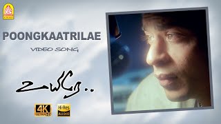 Poongkaatrilae - 4K Video Song | Uyire | Shah Rukh Khan | Manisha Koirala | AR Rahman | Ayngaran
