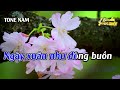 nếu xuân này vắng em karaoke tone nam karaoke Đăng khôi beat mới