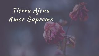 Carla Morrison - Tierra Ajena (letra)