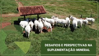 DESAFIOS E PERSPECTIVAS NA SUPLEMENTAÇÃO MINERAL