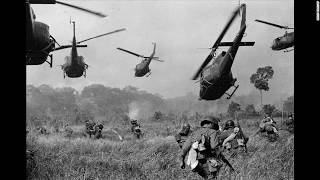 The Vietnam war      a sad reflection on humanity