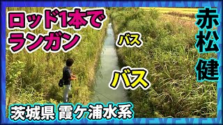 赤松健が攻略！夏の霞ヶ浦水系 2/2 『バスギャラリー Natural Tripper 2 赤松健×霞ケ浦水系の旅』イントロver.【釣りビジョン】その②