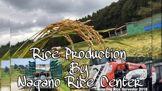 Rice Production in Japan | By Nagano Rice Center | Rice Planting to Rice Harvest