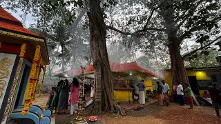 Eruthavoor Parayil devi temple  Ganapathy Prathishtta