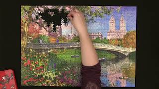 Trefl Central Park, New York 1000 piece puzzle Trefl 10467