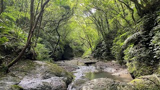 健行映象 - 烏山古道西段、溪畔古道、烏山越嶺道、坪溪古道、太和山步道、石空古道出外澳20200712