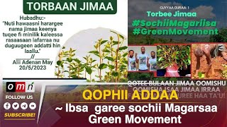 OMN   Ibsa  garee sochii Magarsaa ykn Green Movement  WAX 8, 2023