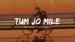 Tum Jo Mile [Slowed And Reverb] (Lo-fi) - Armaan Malik | Neerajan