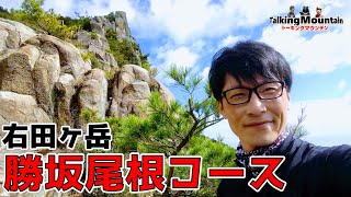 【山口低山ハイク】ド迫力の岩尾根！勝坂尾根コース紹介します　山口県防府市右田ヶ岳