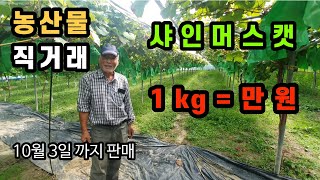 주문 마감 입니다. 구입해 주셔서 감사합니다. 4시간 만에 품절이 됐네요. ㅋㅋㅋ