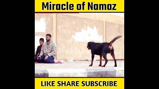 Miracle of Namaz | Namaz Viral Video  #shorts #islamicfacts #islamicknowledge #facts