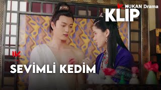 Sevimli Kedim l Klip l Be My Cat l Mo Xiu Ran, Su Xiao He  l #我的寵物少將軍