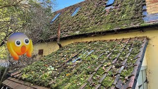 WOW! Mother Nature Was Trying To Reclaim This Roof For herself! Not On My Watch!