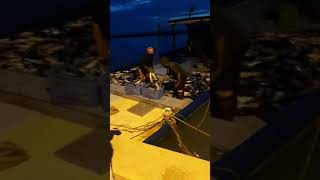 ട്യൂണ ട്യൂണ.. ..ഇനി ആരും കണ്ടില്ലാന്ന് പറയല്ലെ.../tuna fish caughted...