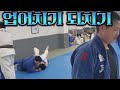 그저 평범한 유도장에 일상🥋 feat.국민유도관