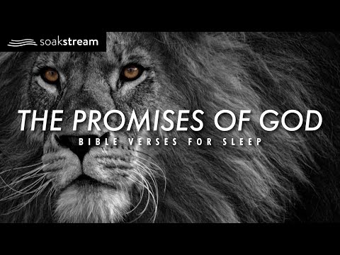The Promises of God  Bible Verses For Sleep