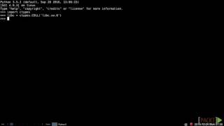 50 Accessing a Dynamic Library Using ctypes
