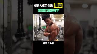 麒麟臂训练教学 #健身 #健身教学 #麒麟臂 #gym #workout