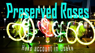 【ヲタ芸】Preserved Rosesで打ってみた【白狐】