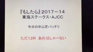 『もしたら』東海ステークス・AJCC2017-15