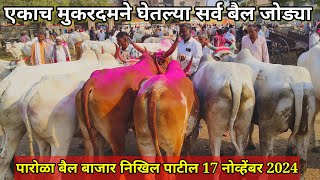 पारोळा बैल बाजार live 🔴 17 नोव्हेंबर 2024 || Parola bail bajar #बैलबाजार