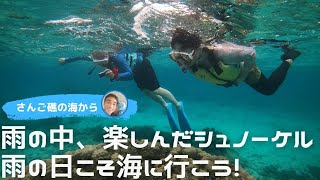 【石垣島でシュノーケリング】雨？大丈夫！雨でも楽しめる！それがシュノーケル　5月11日ツアー動画