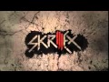 Skrillex & Damian Jr. Gong Marley - Make It Bun Dem