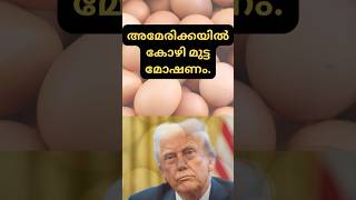 അമേരിക്കയിൽ കോഴി മുട്ട മോഷണം. | Eggs were stolen #shortsvideo #shorts  #funny