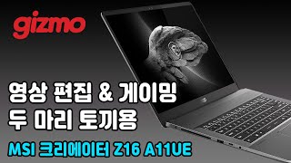 영상 편집\u0026게이밍, 두 마리 토끼를 잡았을까? MSI 크리에이터 Z16