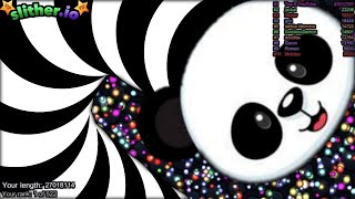 Slither.io A.I. Panda Vs Tiny Hacker Snakes - Epic Skin Slitherio Vip Best Gameplay - Infinity Score