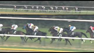 東京スポーツ杯2歳ステークス　ＧⅢ　2014