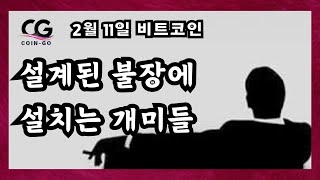 2월 11일 비트코인 #이더리움 떡상 #알트불장 #xrp #참을성 있는 자에게 돈이 흘러가게 설계된 시장