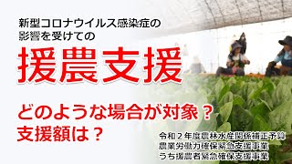 【令和２年度農林水産関係補正予算】農業労働力確保緊急支援事業のうち援農者緊急確保支援事業