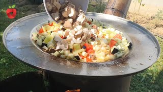 A delicious lunch of home-made vegetables and chicken