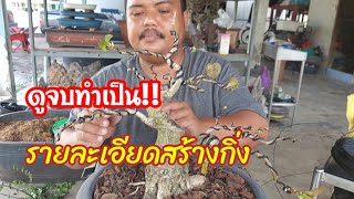 💥👉สร้างง่ายจบเร็ว👍ไม้วัตถุดิบที่แนะนำสร้างงานบอนไซอีกชนิดหนึ่ง โพธิ์ฮาวายก้านแดง บอนไซบ้านมดแนะนำ😍😅